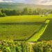 VIETNAM AGRICULTURE FARMING 4.0 – Issues and Solutions – Impact of the Major Trade Agreements CPTPP, EUVNFTA and Investment Protection Agreement