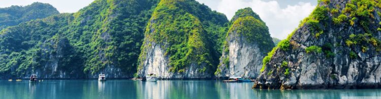 EU- VIETNAM FREE TRADE AGREEMENT’S (EVFTA’S) AND COMPREHENSIVE AND PROGRESSIVE TRANS-PACIFIC PARTNERSHIP’S (CPTPP’S) INFLUENCE ON VIETNAMESE TEXTILE & APPAREL INDUSTRY
