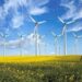 LEGAL FRAMEWORK AND INVESTMENT POLICIES OF WIND POWER DEVELOPMENT IN VIETNAM