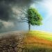 VIETNAM – SAVE OUR EARTH – CLIMATE CHANGE – RELATED INVESTMENT AND TRADE UNDER THE EU-VIETNAM FREE TRADE AGREEMENT