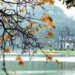 VIETNAM – NEWS AND REGULATIONS (09.6.2023)
