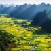 VIETNAM – NEWS AND REGULATIONS (18.8.2023)