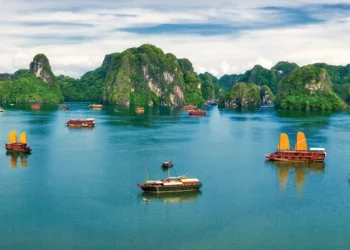 VIETNAM – NEWS AND REGULATIONS (01.3.2024)