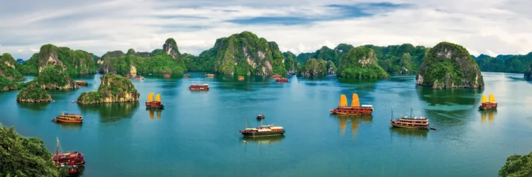 VIETNAM – NEWS AND REGULATIONS (01.3.2024)