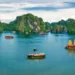 VIETNAM – NEWS AND REGULATIONS (01.3.2024)