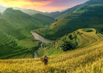 VIETNAM – LATEST GUIDE TO CONTRACT MANUFACTURING AND TOLLING AGREEMENTS