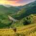 VIETNAM – LATEST GUIDE TO CONTRACT MANUFACTURING AND TOLLING AGREEMENTS