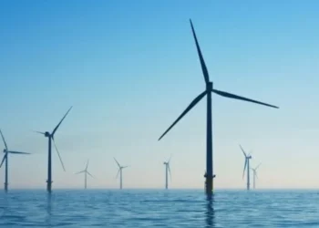 Vietnam – Offshore Wind Energy Investment – What You Must Know