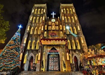 VIETNAM – NEWS AND REGULATIONS (20.12.2024)