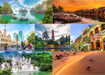 VIETNAM – NEWS AND REGULATIONS (17.01.2025)