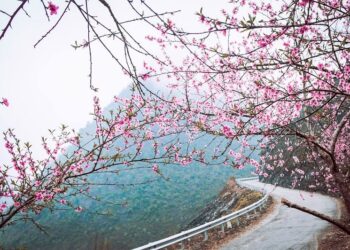 VIETNAM – NEWS AND REGULATIONS (07.02.2025)