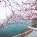 VIETNAM – NEWS AND REGULATIONS (07.02.2025)