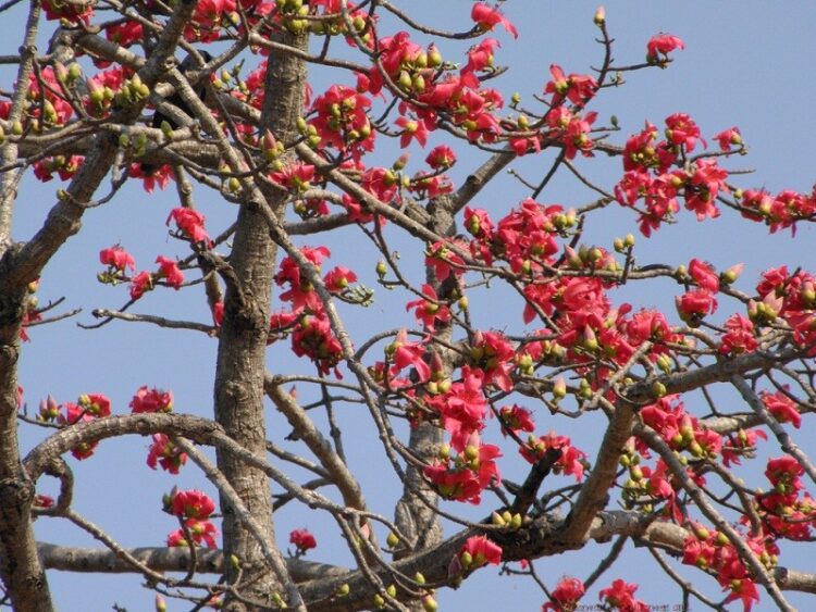 VIETNAM – NEWS AND REGULATIONS (14.03.2025)
