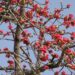 VIETNAM – NEWS AND REGULATIONS (14.03.2025)