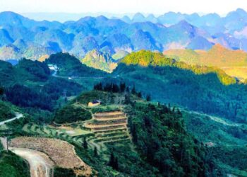 VIETNAM – NEWS AND REGULATIONS (07.03.2025)