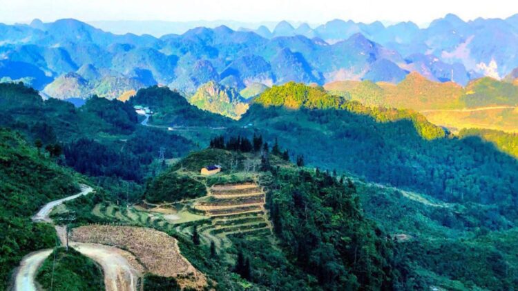 VIETNAM – NEWS AND REGULATIONS (07.03.2025)