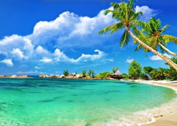 VIETNAM – NEWS AND REGULATIONS (07.02.2025)