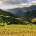 VIETNAM – NEWS AND REGULATIONS (18.04.2025)