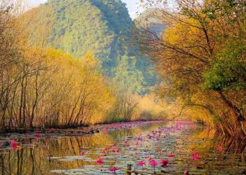 VIETNAM – NEWS AND REGULATIONS (21.03.2025)