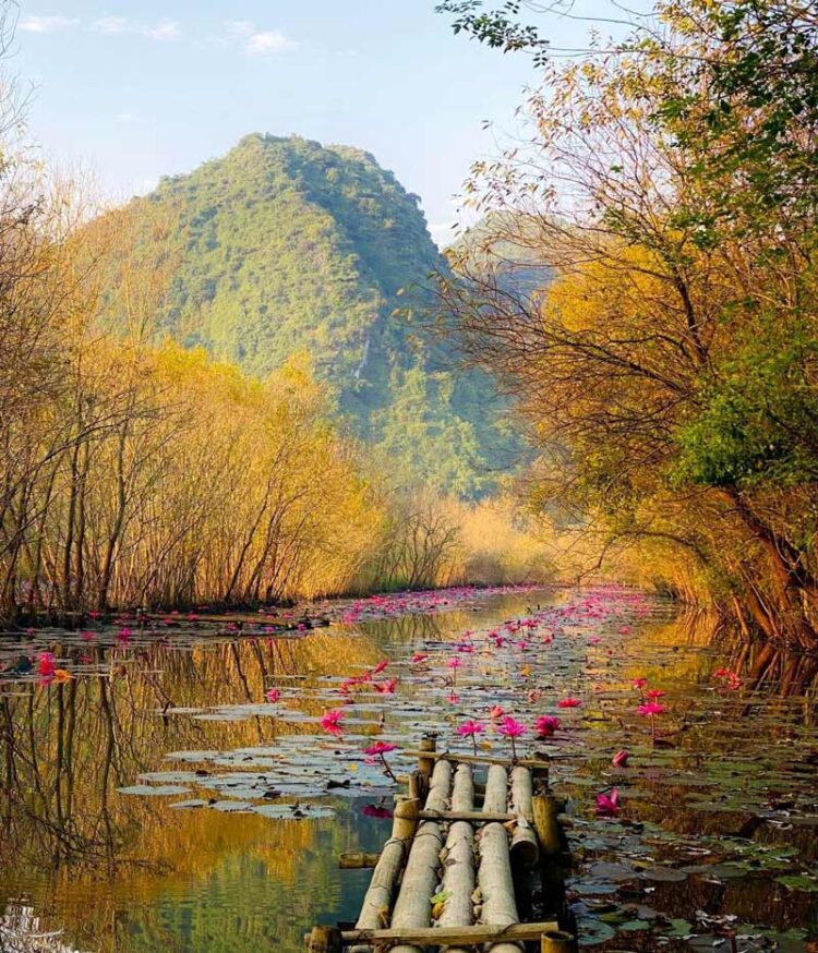 VIETNAM – NEWS AND REGULATIONS (21.03.2025)