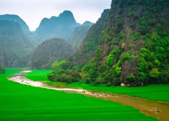 VIETNAM – NEWS AND REGULATIONS (09.05.2025)
