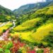 VIETNAM – NEWS AND REGULATIONS (30.05.2025)