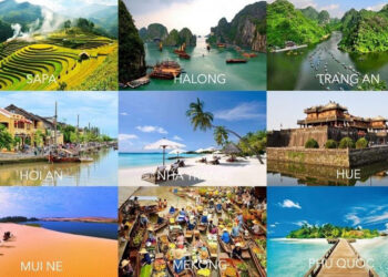 VIETNAM – NEWS AND REGULATIONS (16.05.2025)