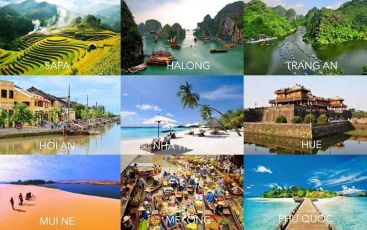 VIETNAM – NEWS AND REGULATIONS (16.05.2025)