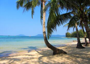 VIETNAM – NEWS AND REGULATIONS (27.06.2025)