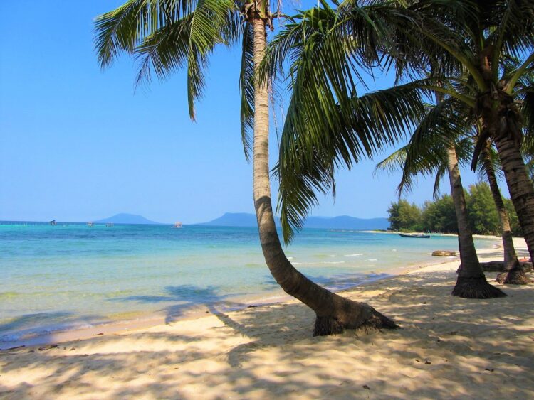 VIETNAM – NEWS AND REGULATIONS (27.06.2025)