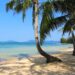 VIETNAM – NEWS AND REGULATIONS (27.06.2025)