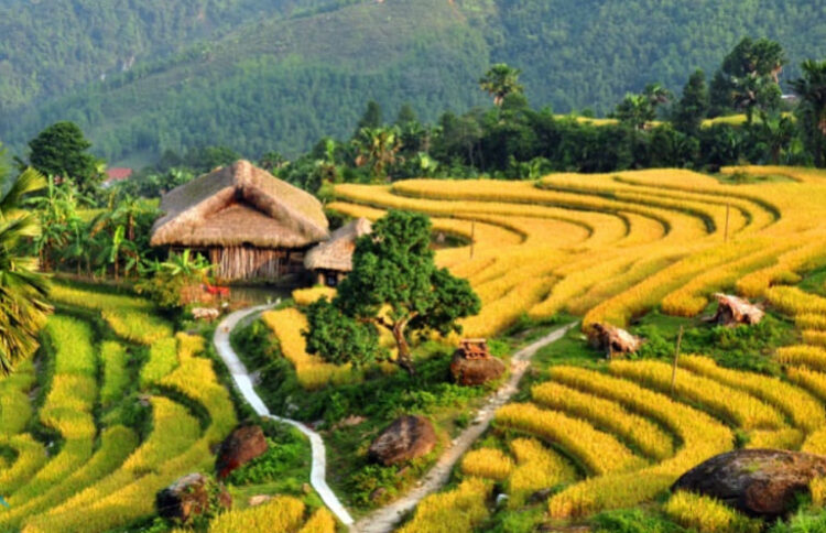 VIETNAM – NEWS AND REGULATIONS (06.06.2025)