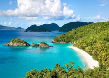 VIETNAM – NEWS AND REGULATIONS (11.07.2025)