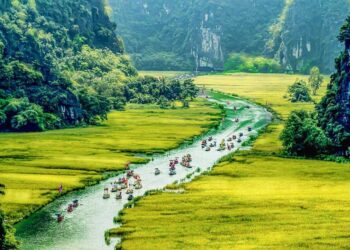 VIETNAM – NEWS AND REGULATIONS (04.07.2025)