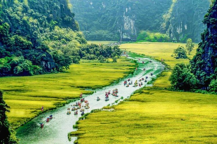 VIETNAM – NEWS AND REGULATIONS (04.07.2025)