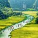 VIETNAM – NEWS AND REGULATIONS (04.07.2025)