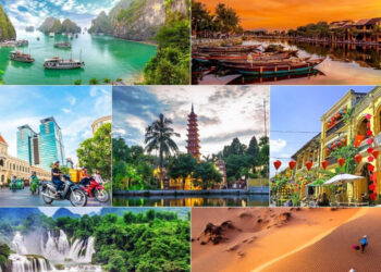 VIETNAM – NEWS AND REGULATIONS  (25.07.2025)