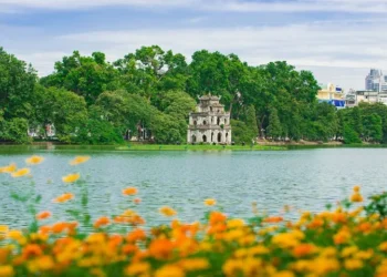 VIETNAM – NEWS AND REGULATIONS (15.08.2025)
