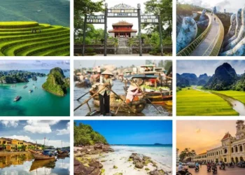 VIETNAM – NEWS AND REGULATIONS (25.10.2025)