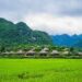 VIETNAM – NEWS AND REGULATIONS (03.10.2025)