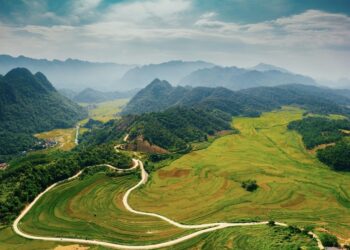 VIETNAM – NEWS AND REGULATIONS (28.11.2025)