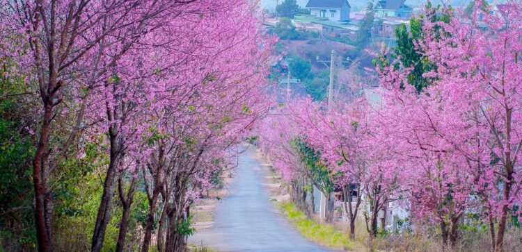 VIETNAM – NEWS AND REGULATIONS (16.01.2026)