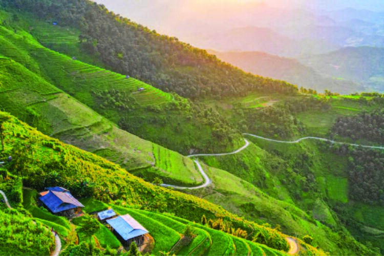 VIETNAM – NEWS AND REGULATIONS (09.01.2026)