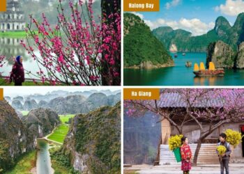 VIETNAM – NEWS AND REGULATIONS (06.02.2026)