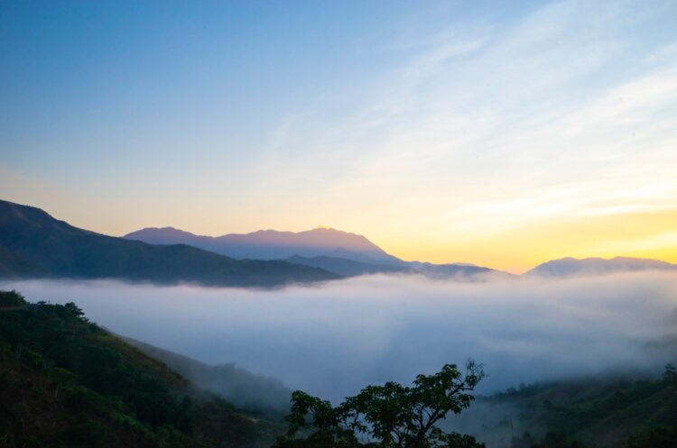 VIETNAM – NEWS AND REGULATIONS (30.01.2026)