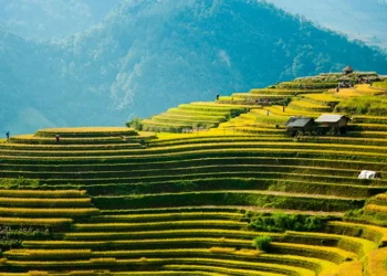 Vietnam – Hanoi Media Group interviewt Rechtsanwalt in Vietnam Dr. Oliver Massmann über die jüngsten Wahlen in Vietnam und den Aktionsplan für die neu gewählten Führungskräfte