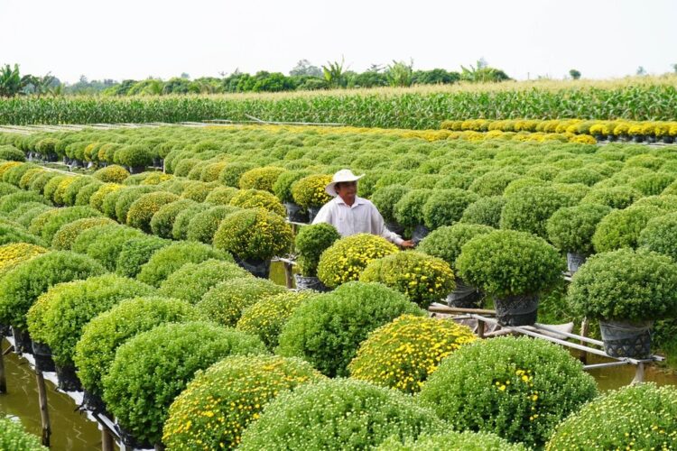 VIETNAM – NEWS AND REGULATIONS (27.03.2026)