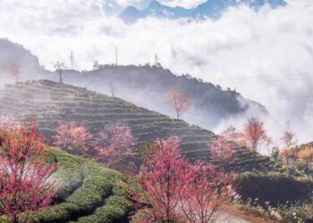 VIETNAM – NEWS AND REGULATIONS (20.03.2026)