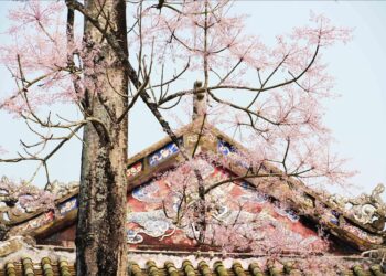 VIETNAM – NEWS AND REGULATIONS (13.03.2026)