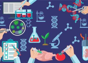 Anwalt in Vietnam Dr. Oliver Massmann – Von Biodiversität zu Biotechnologie: Warum Vietnam Asiens nächste unterschätzte Investitionschance sein könnte